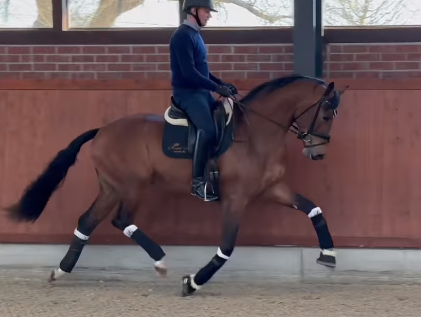 Bon Bolero - Trainings-Video