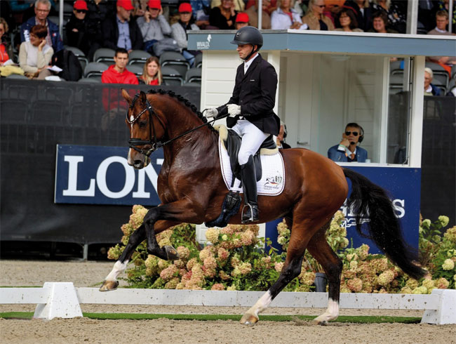 Bon Vivaldi NRW unter den Top 10 der FN-Zuchtwertschätzung Bon Vivaldi NRW unter den Top 10 der FN-Zuchtwertschätzung