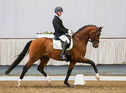 Bon Vivaldi NRW wins the sports test